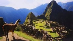 �ο����������뾳���� ��ʹ�^����ע�⺞�C��Ч��