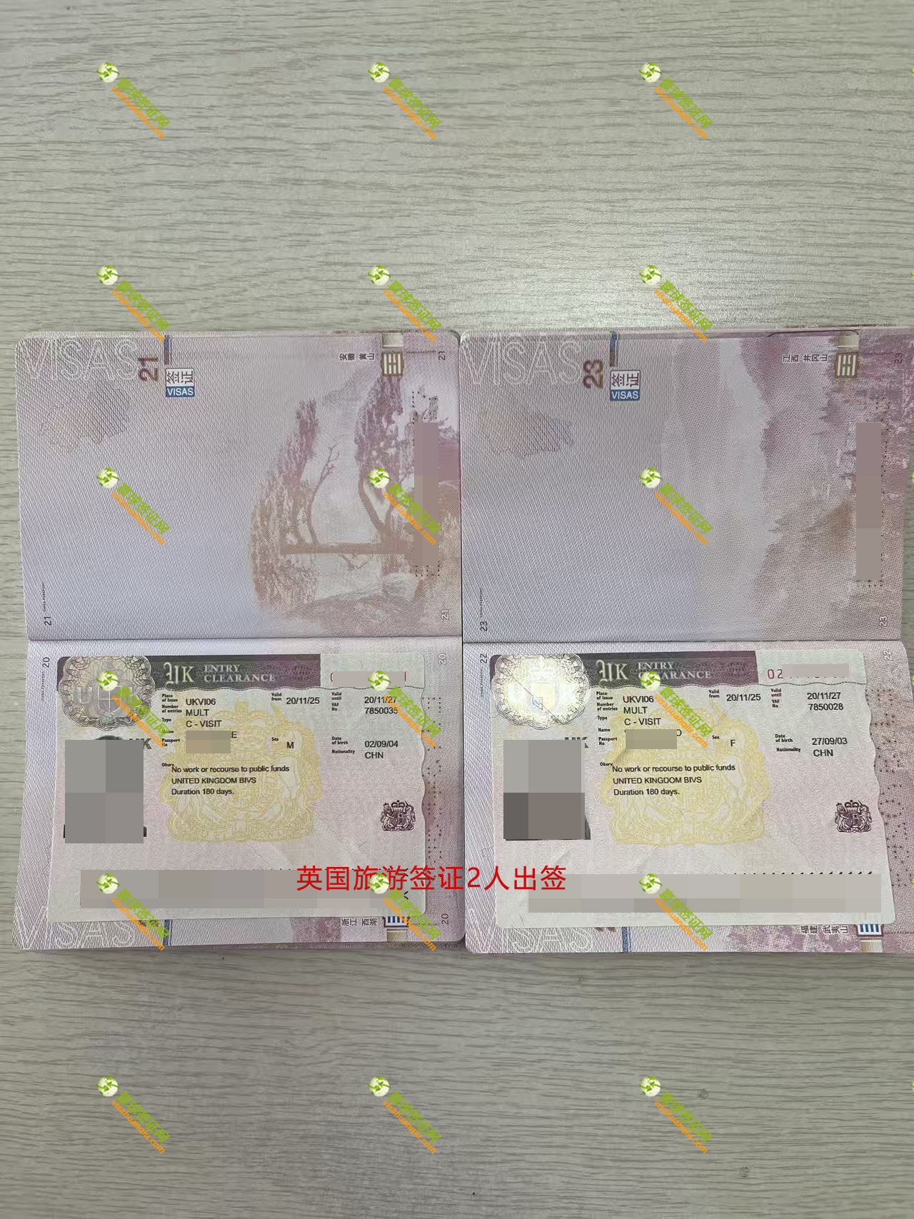 英國(guó)簽證頁(yè)