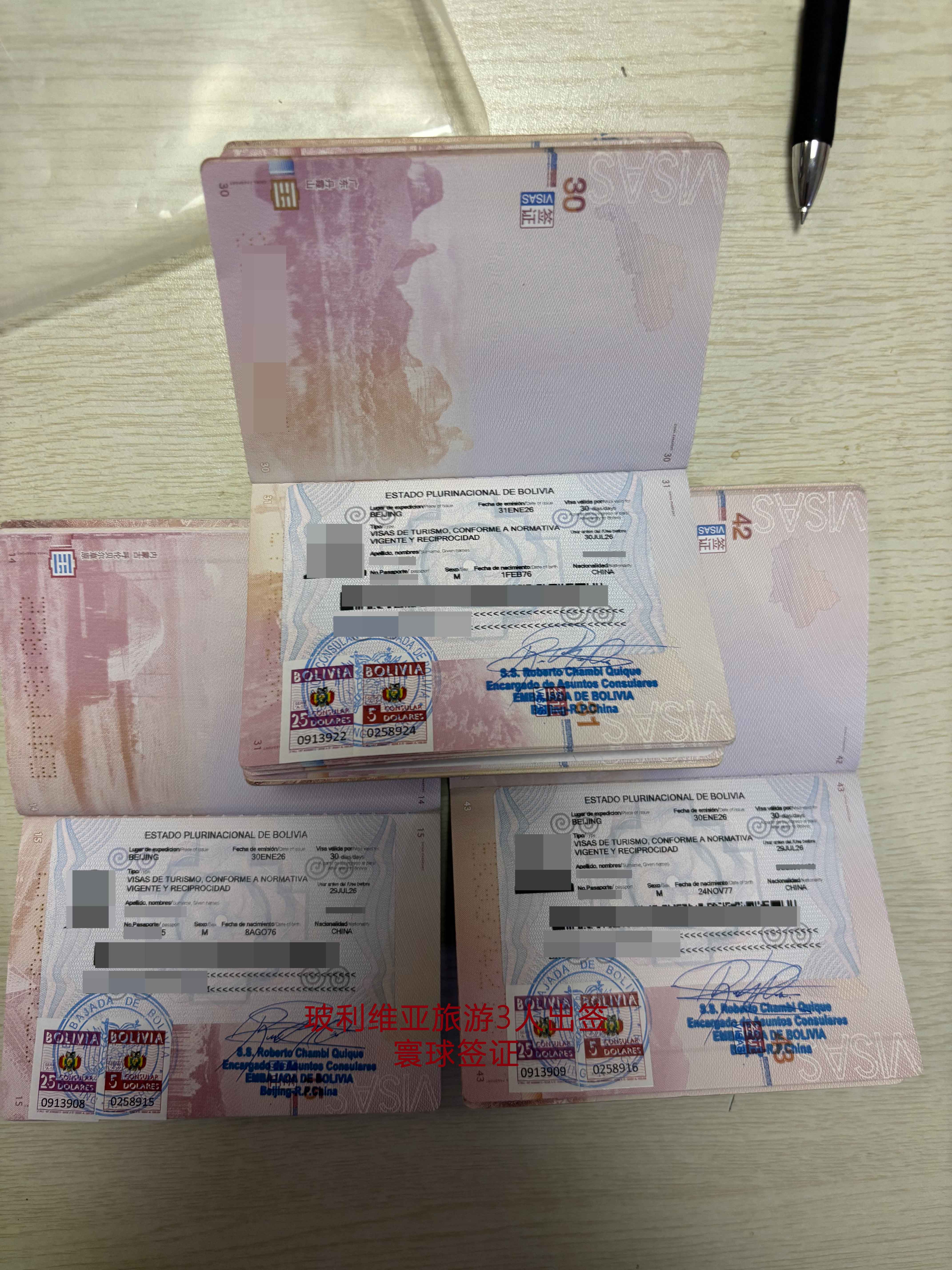 玻利維亞簽證頁(yè)